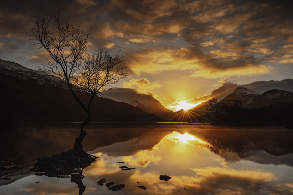 Bare, leafless tree growing from a rocky islet in a calm lake at sunset with orange sky and distant mountains reflected in the water.